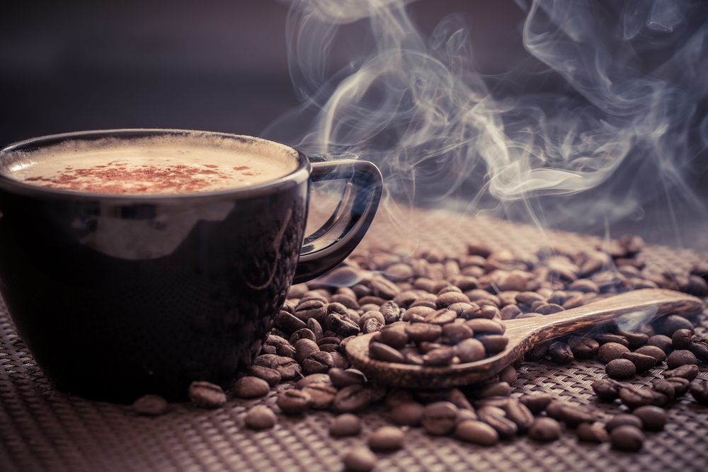4 BEST COFFEE PLANTATIONS TO VISIT IN COSTA RICA 4 BEST COFFEE PLANTATIONS TO VISIT IN COSTA RICA