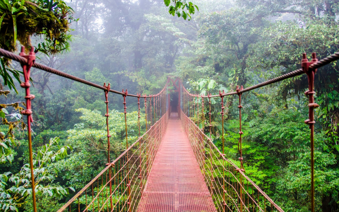 Nature-Hiking-Tours-Jaco-Costa-Rica-1