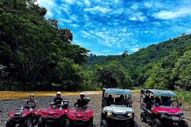 People on ATVs and buggies in a lush forest with a blue sky backdrop.