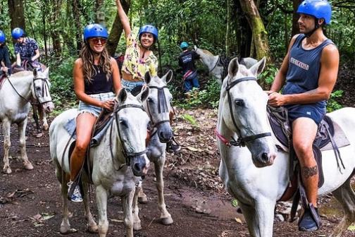 Group of people wearing blue helmets riding white horses in a forest trail.