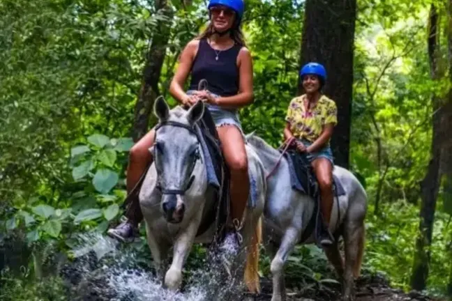 Two people wearing helmets ride horses through a lush forest trail.