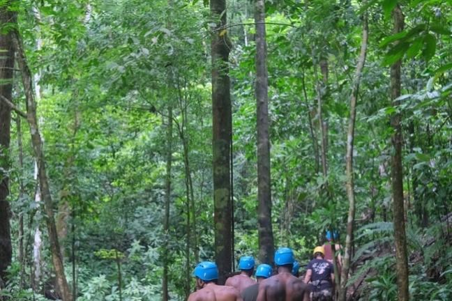 Group with blue helmets walking on a forest trail surrounded by dense greenery.