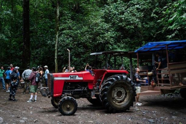 Group gathered around red tractor and trailer in a forest setting.