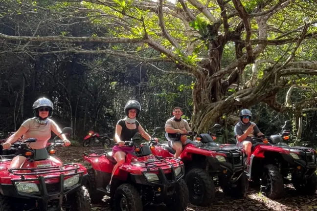 Four people on red ATVs under a large tree in a forest setting.
