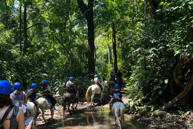 Group horseback riding through a lush forest with blue helmets.