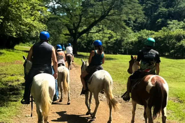 Four people riding horses on a forest trail under a sunny blue sky.
