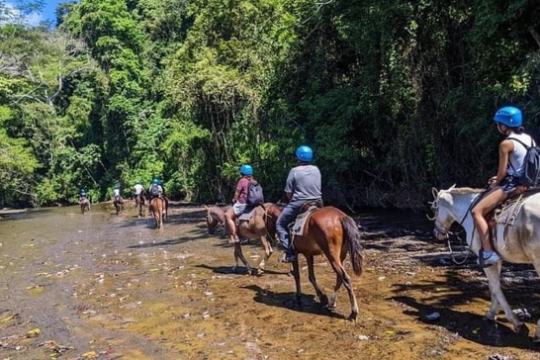 People wearing helmets ride horses along a stream surrounded by dense trees.