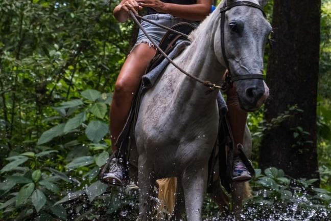 Person in blue helmet rides a white horse through a forest creek.
