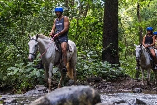 People wearing helmets ride horses through a forest trail with lush greenery.