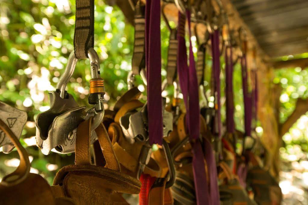 Ocean Ranch Park Contact | Ocean Ranch Park