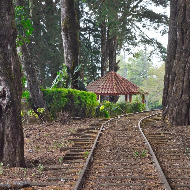 an empty park bench next to a forest