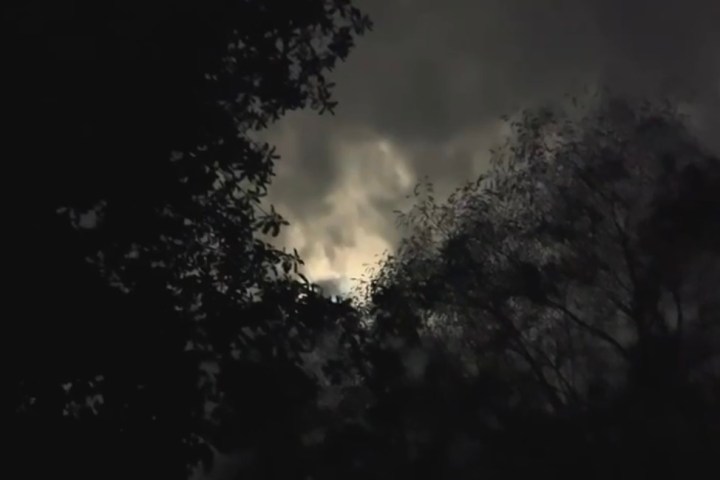 Dark foliage framing a cloudy night sky with dim light peeking through.